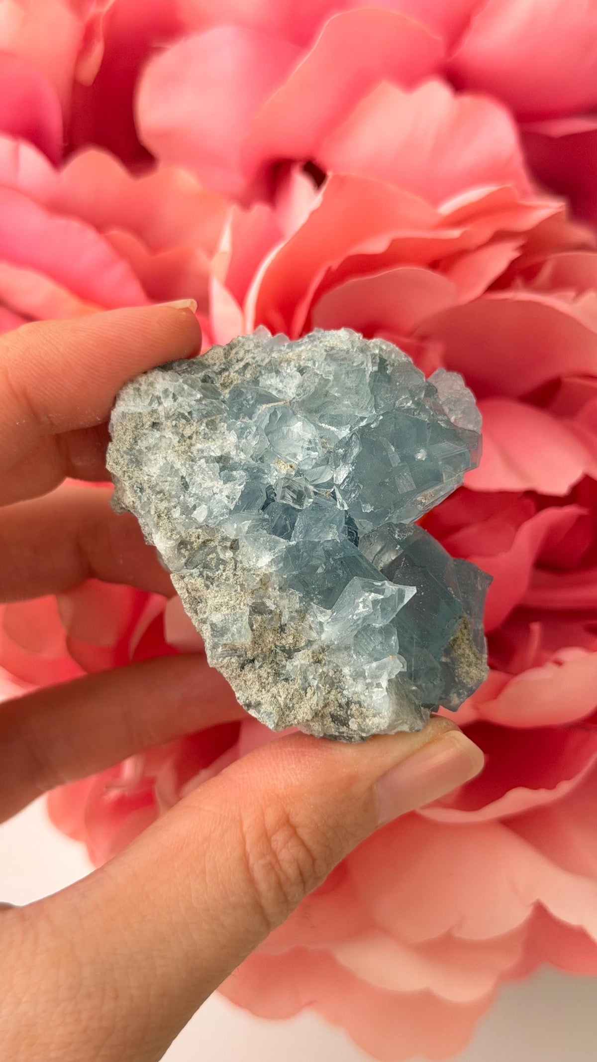 High Quality Celestite Cluster /Crystal/ Celestite Egg/ Celestite carving / Celestite Cluster #H