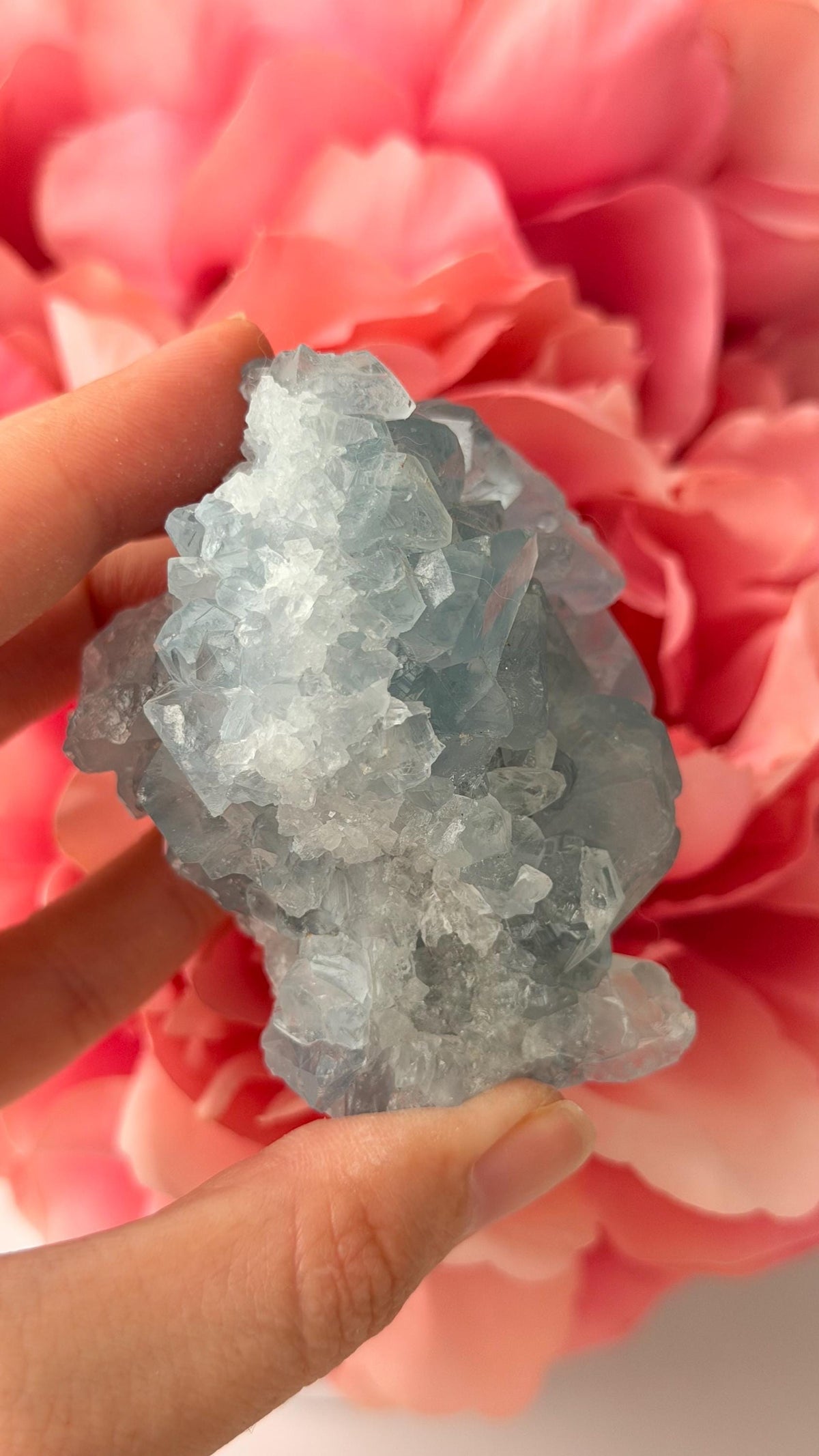 High Quality Celestite Cluster /Crystal/ Celestite Egg/ Celestite carving / Celestite Cluster #C