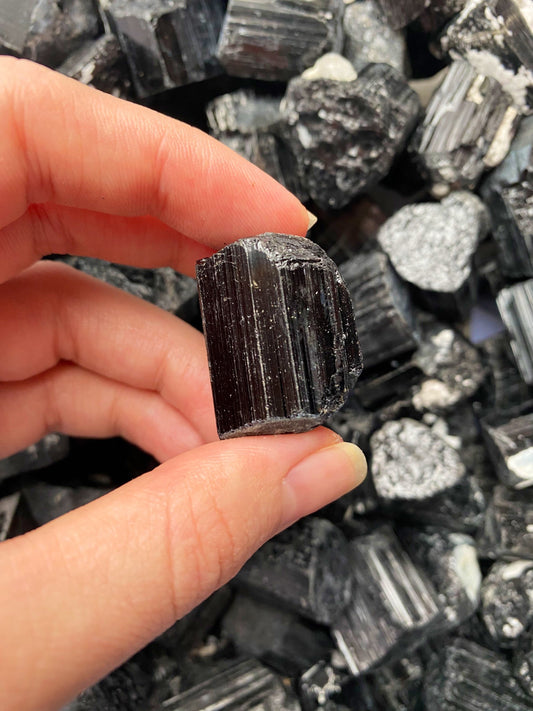 Raw Black Tourmaline Crystal Set (3pc) - Grounding Schorl