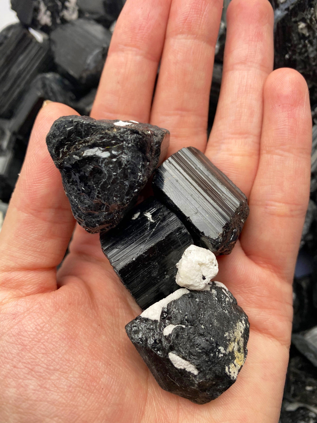 Raw Black Tourmaline Crystal Set (3pc) - Grounding Schorl