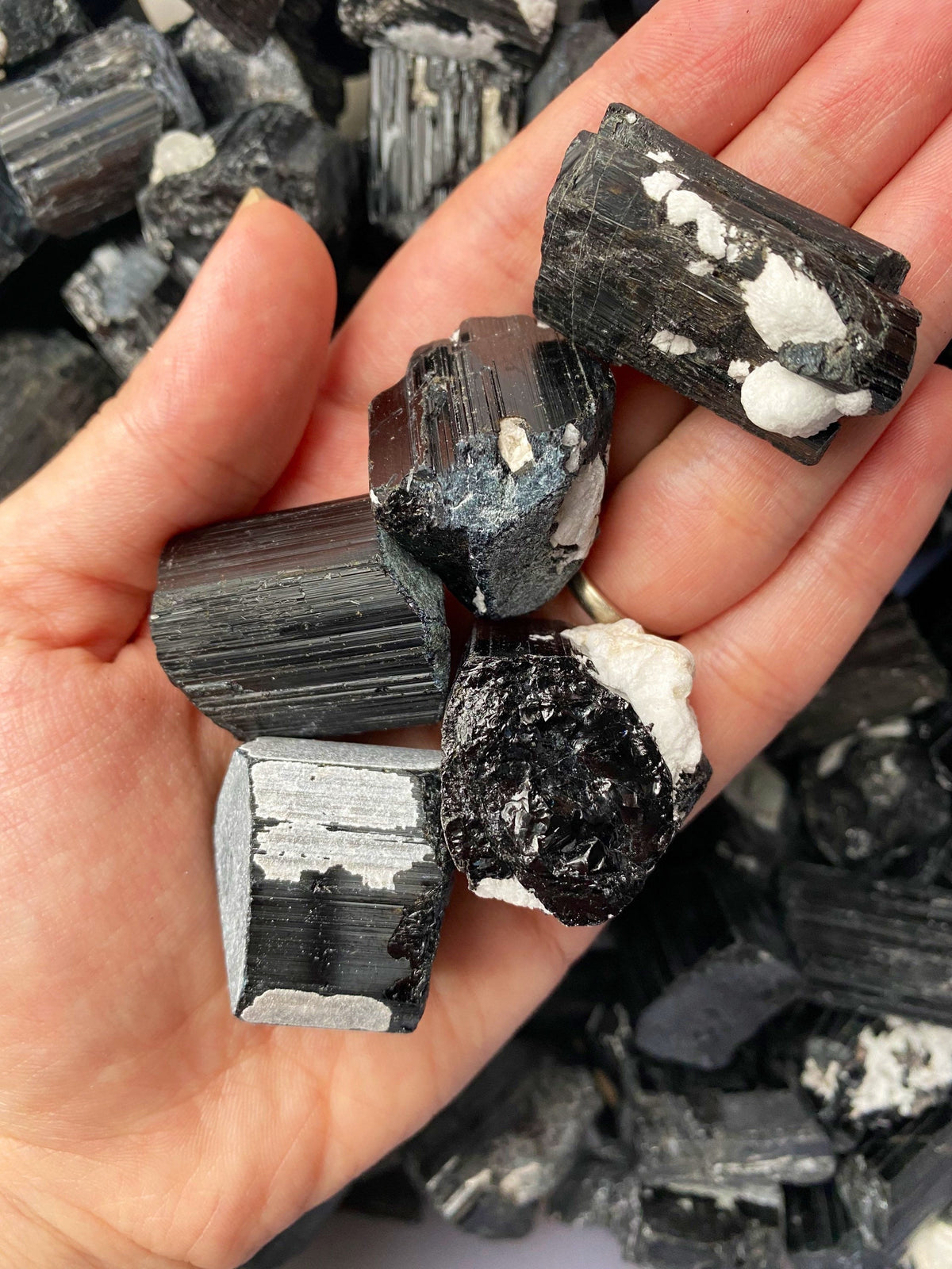 Raw Black Tourmaline Crystal Set (3pc) - Grounding Schorl