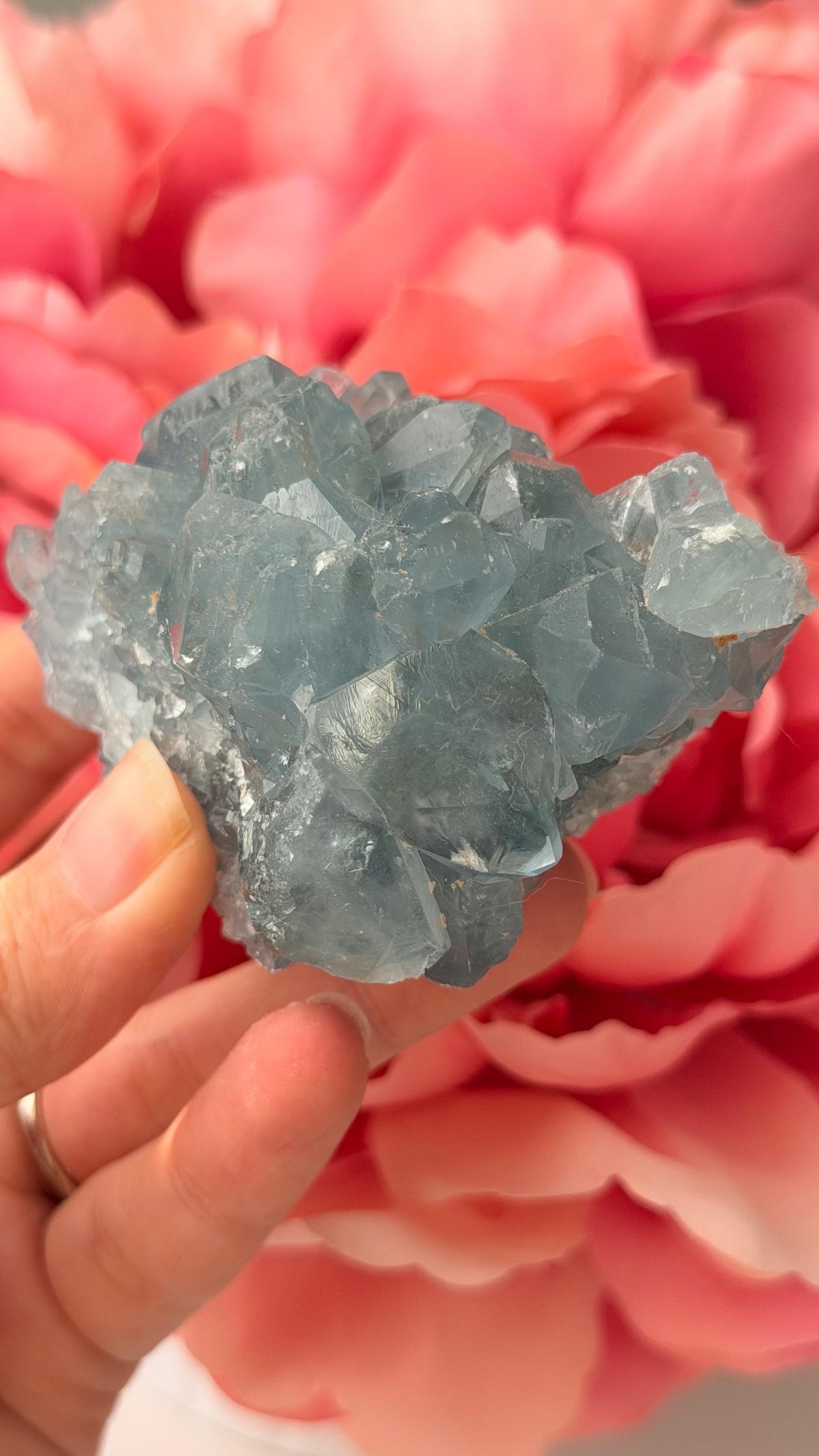 High Quality Celestite Cluster /Crystal/ Celestite Egg/ Celestite carving / Celestite Cluster #E