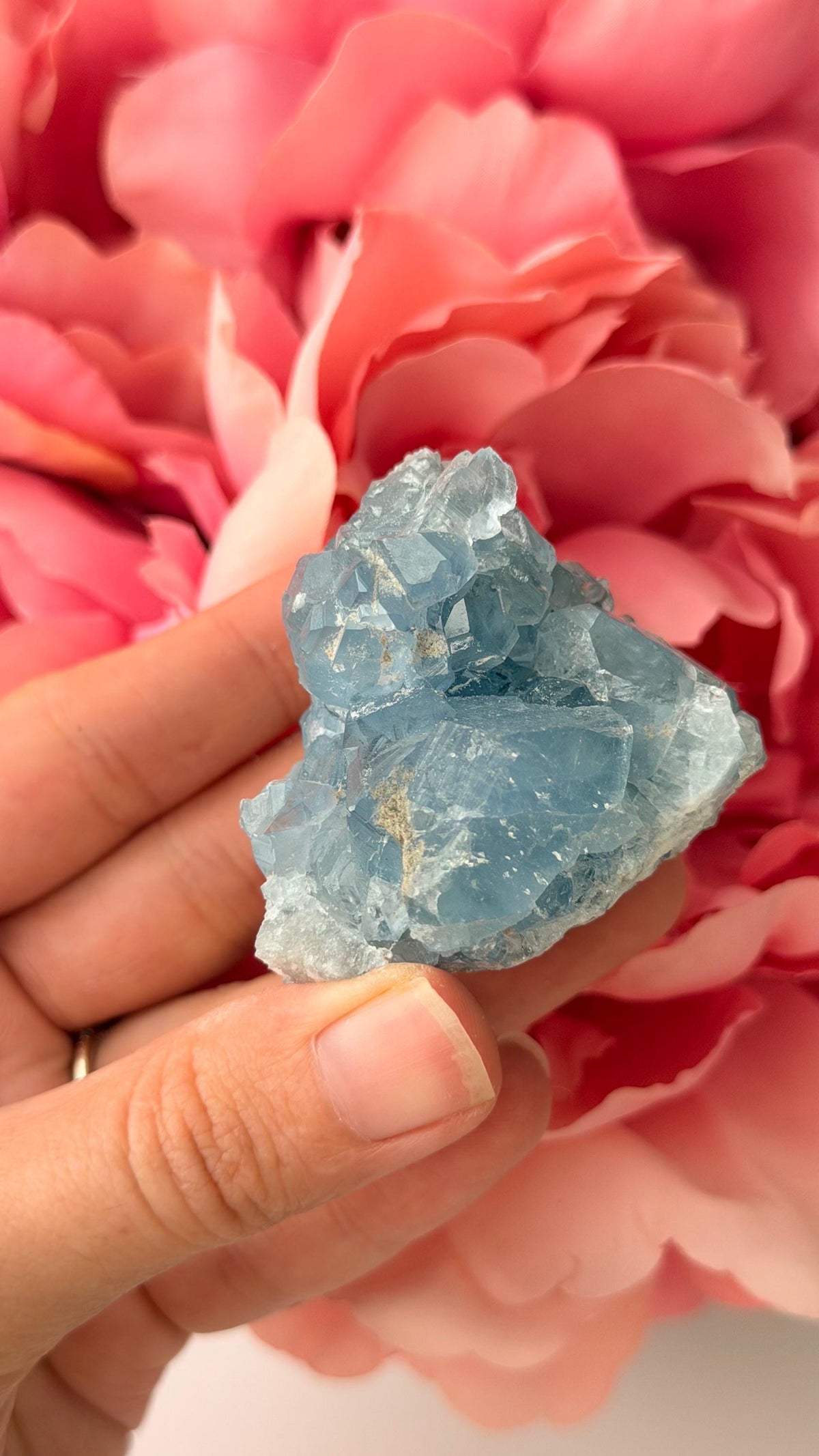 High Quality Celestite Cluster /Crystal/ Celestite Egg/ Celestite carving / Celestite Cluster #H