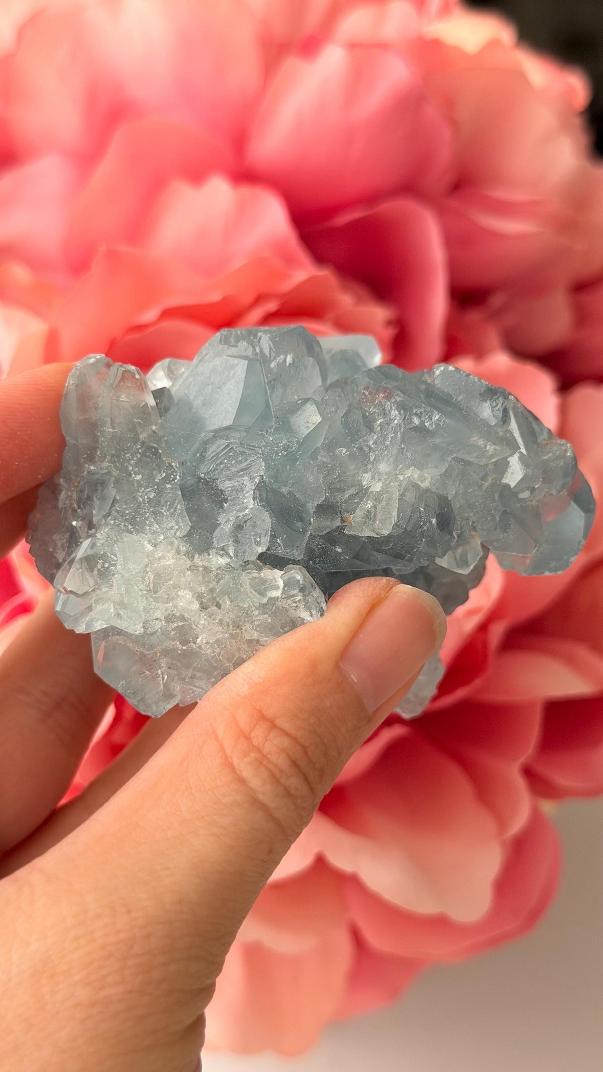 High Quality Celestite Cluster /Crystal/ Celestite Egg/ Celestite carving / Celestite Cluster #C