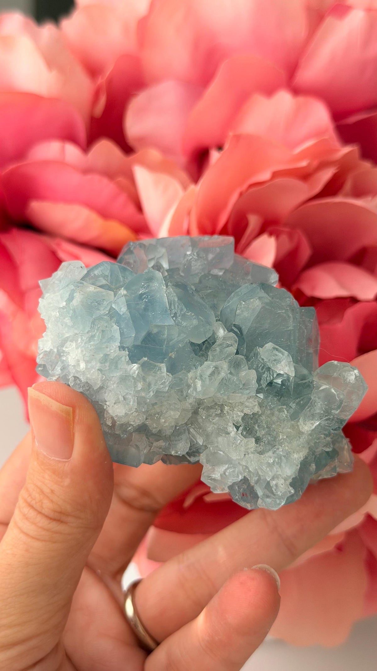 High Quality Celestite Cluster /Crystal/ Celestite Egg/ Celestite carving / Celestite Cluster #C