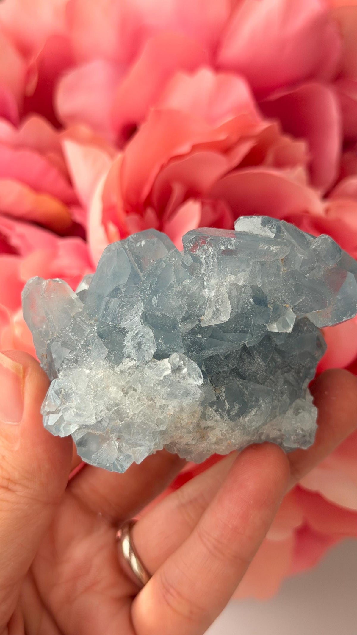 High Quality Celestite Cluster /Crystal/ Celestite Egg/ Celestite carving / Celestite Cluster #C