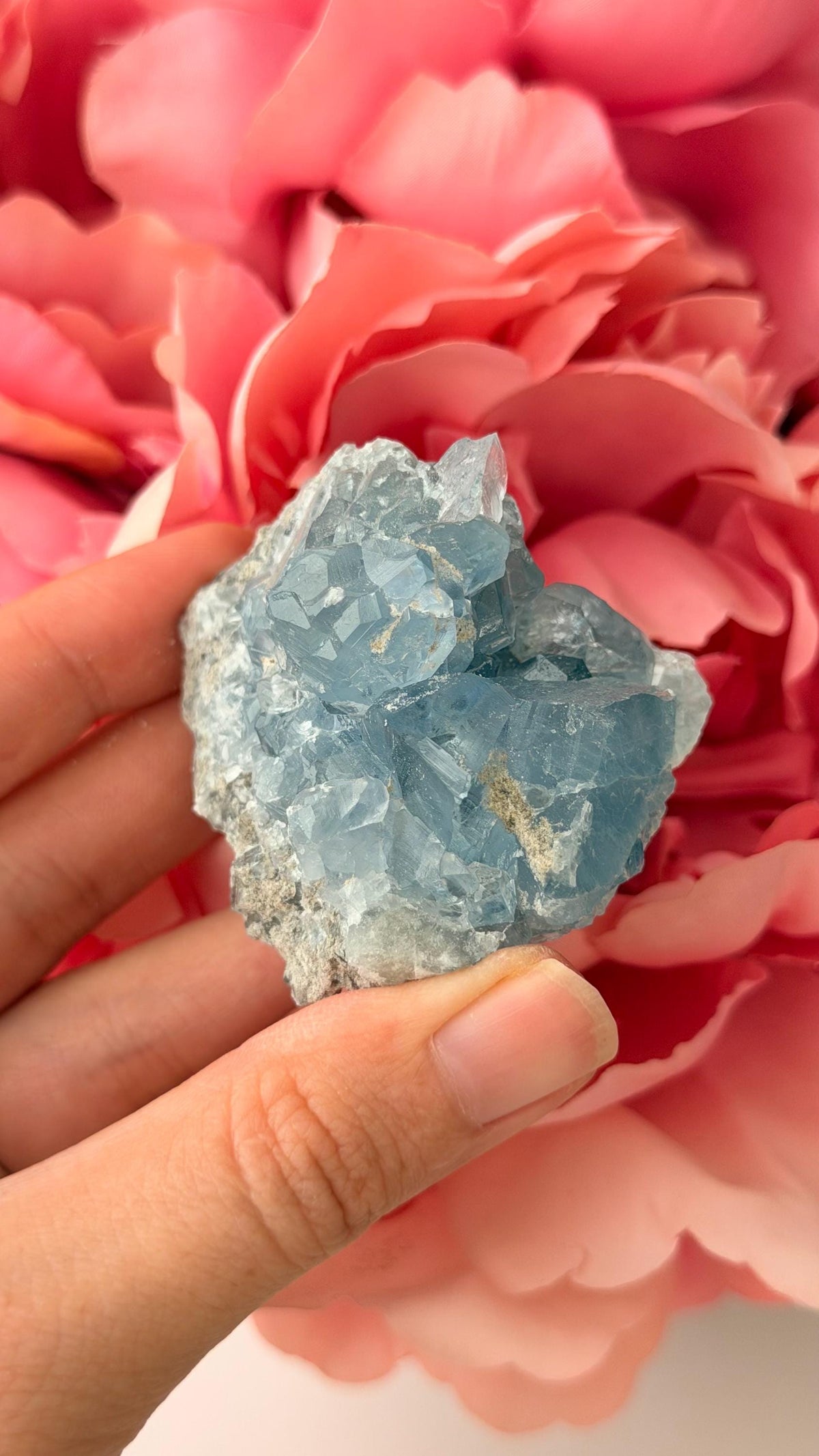 High Quality Celestite Cluster /Crystal/ Celestite Egg/ Celestite carving / Celestite Cluster #H